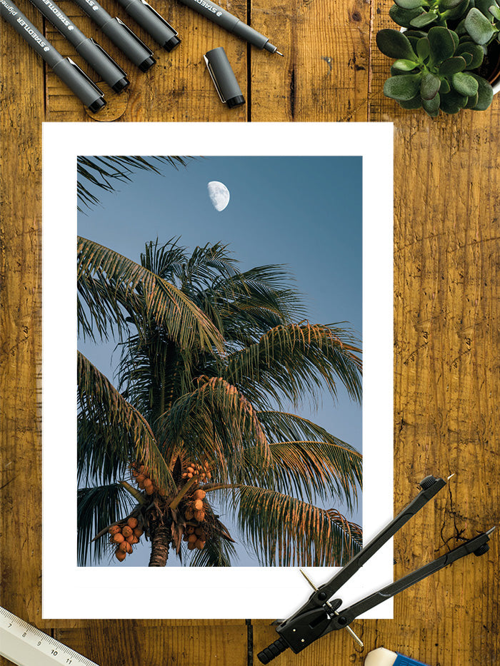 Lune et cocotier