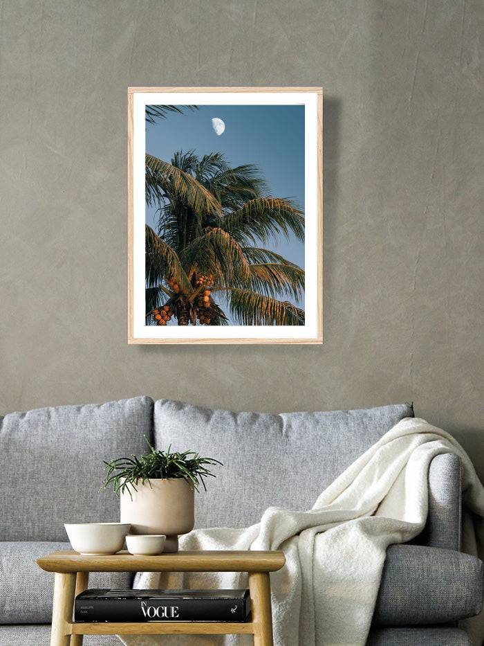 Lune et cocotier