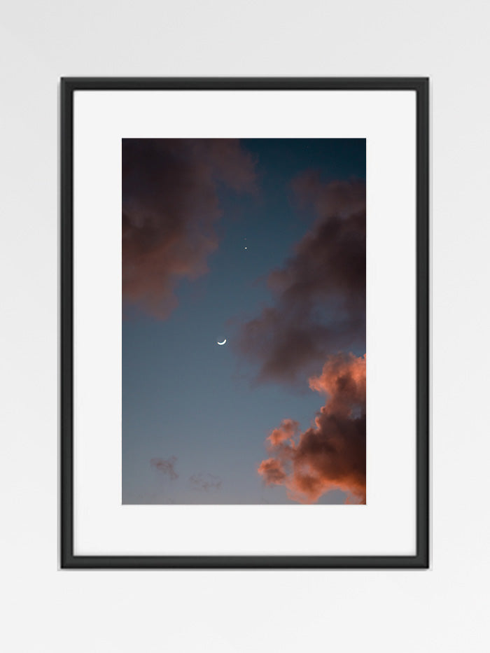 Lune Rose