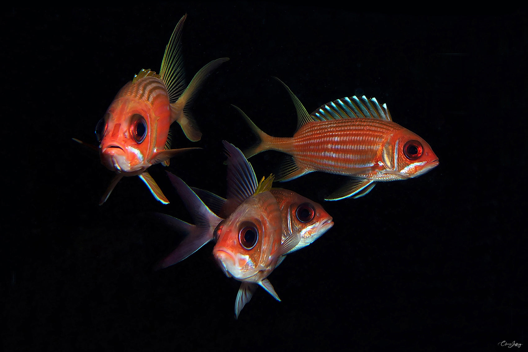Mousquetaires