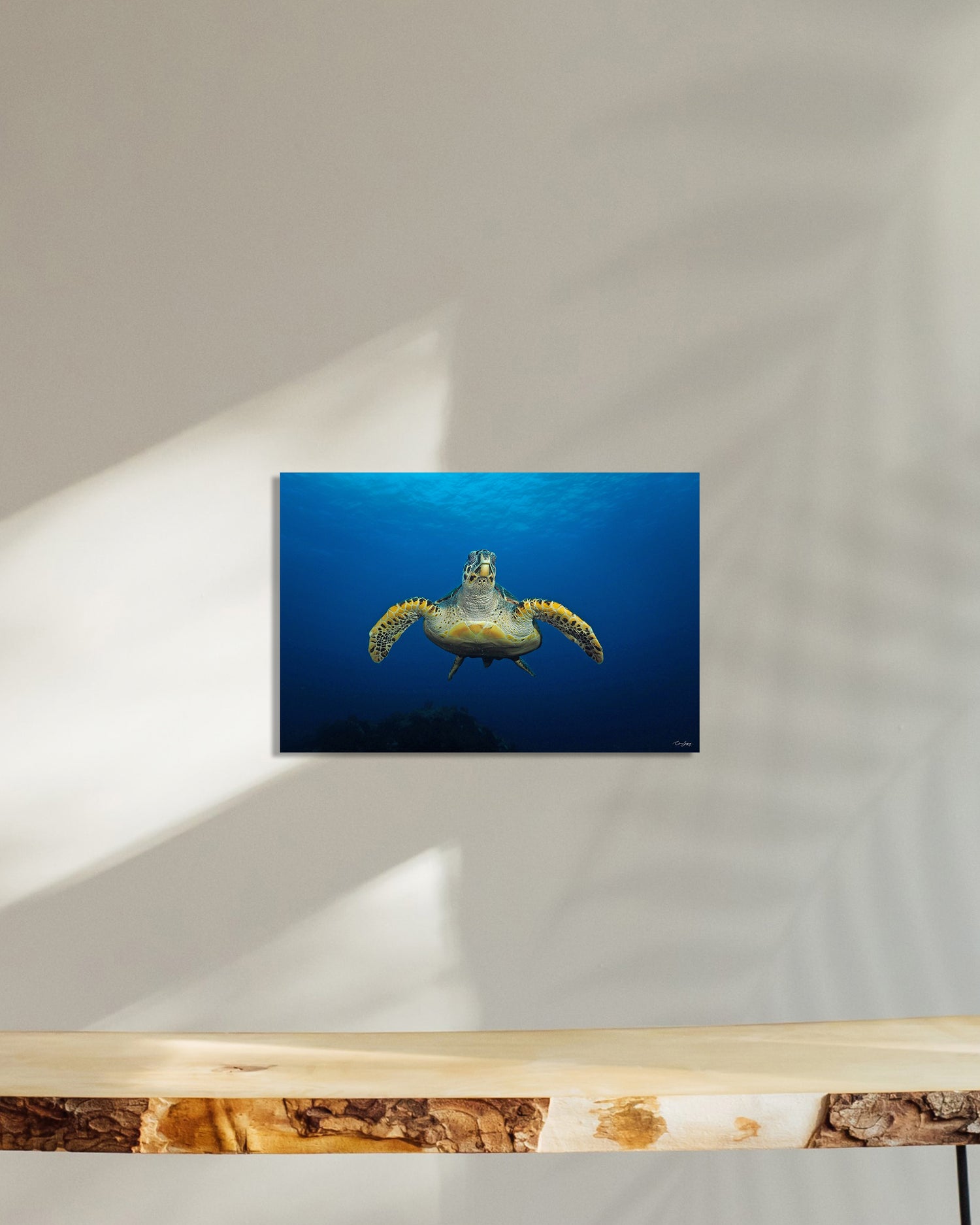 Lévitation