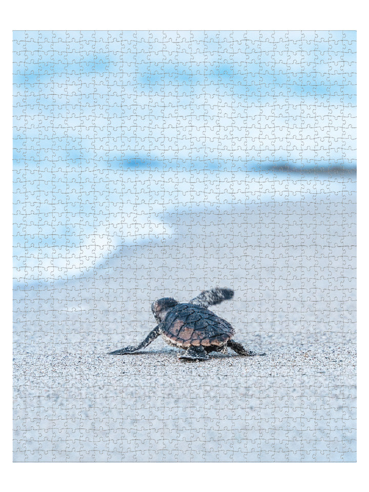 Puzzle - Tortue