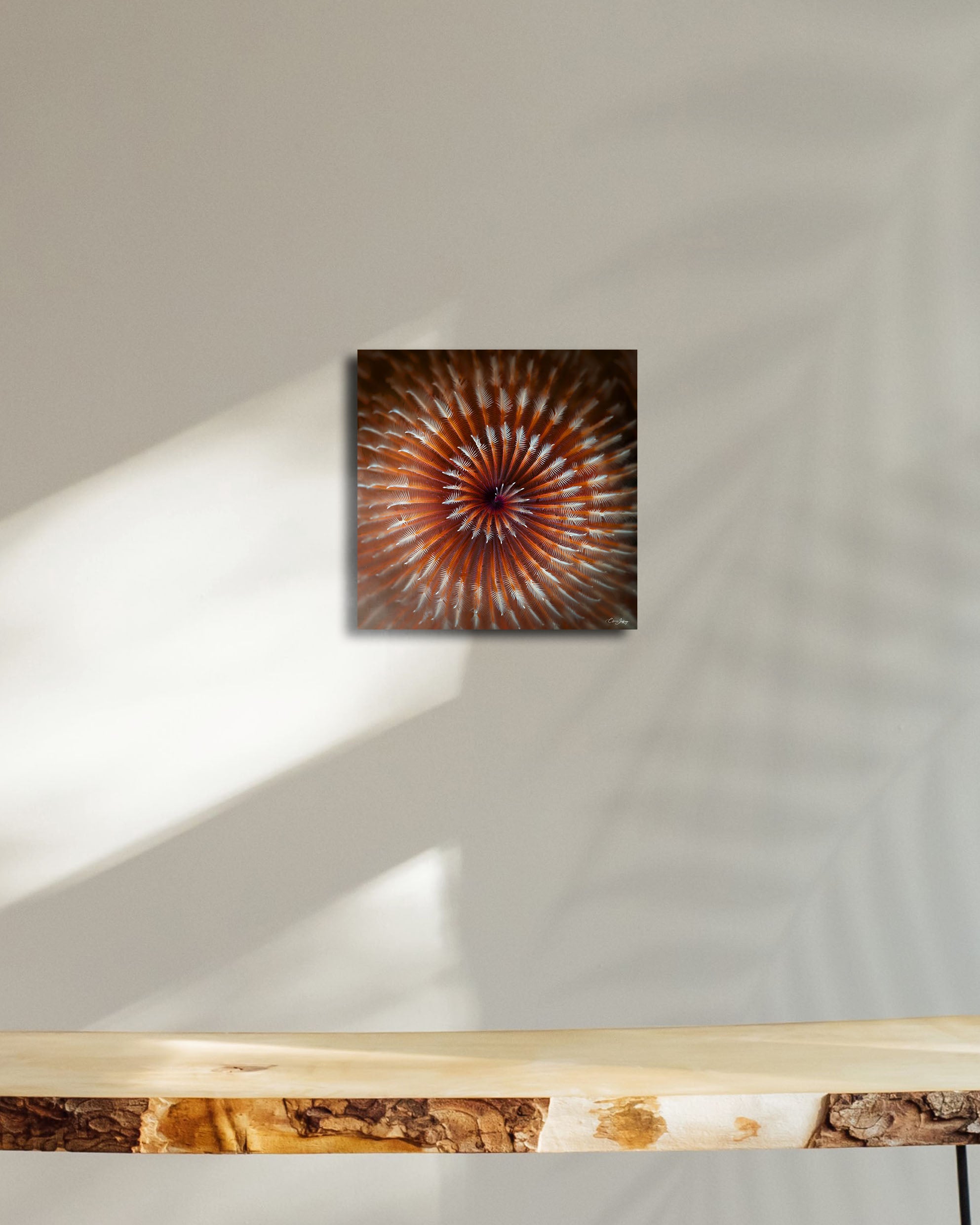 Hypnose