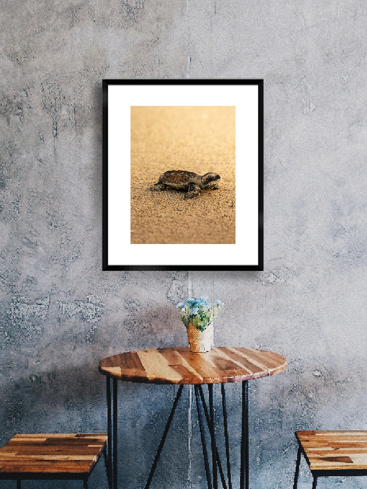 Tortue - Gold - 05