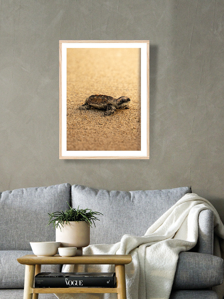Tortue - Gold - 05