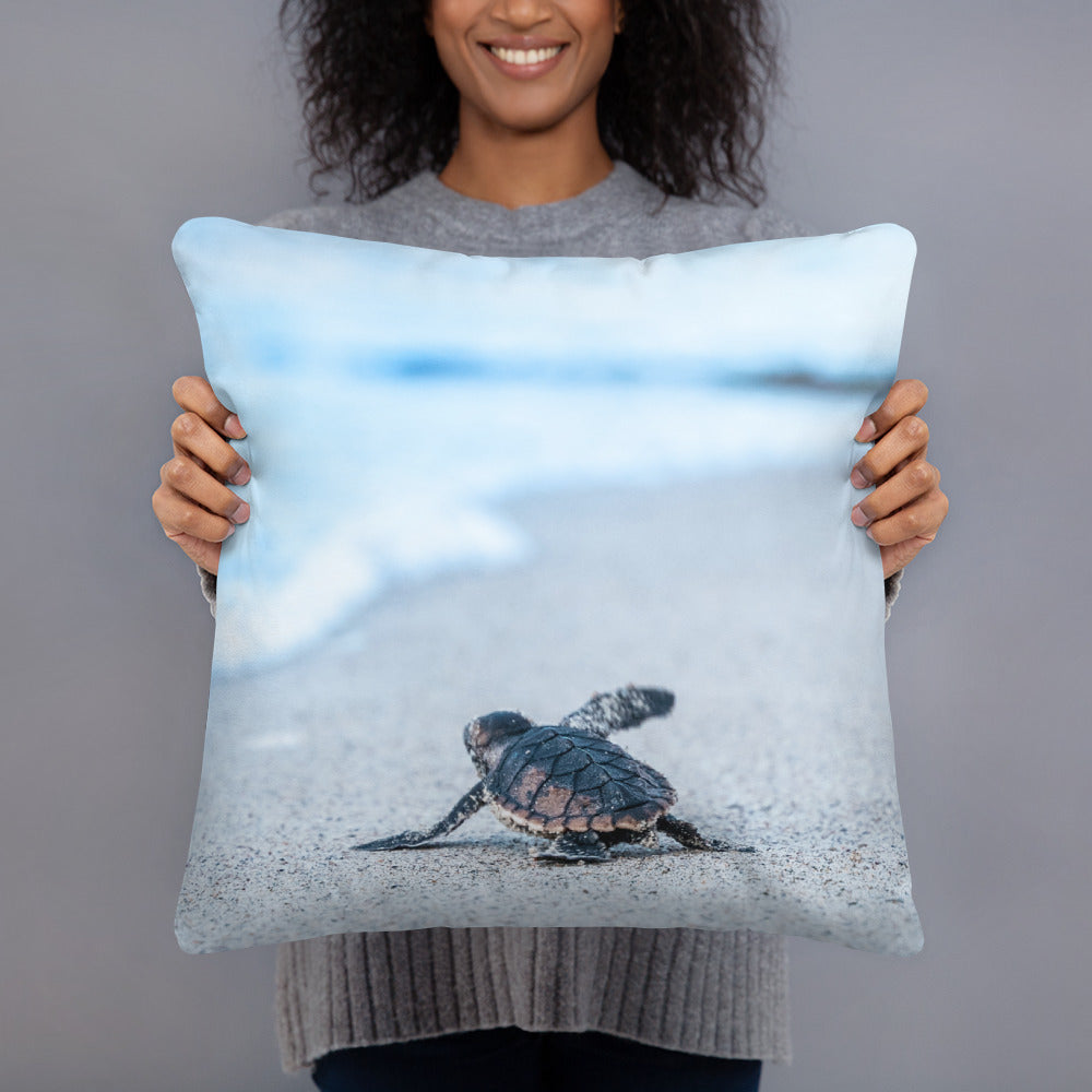 Coussin - Tortue